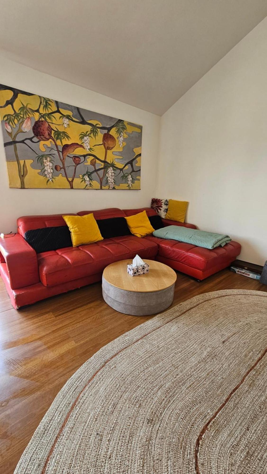 This Fabulous, Single-Level 3 Plus 1 Small Room With Folding Sofa Home Окленд Экстерьер фото